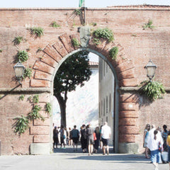 The leading Pitti Bimbo June Fashion Fair Florence is presenting Hanssop new 2025 Collection!