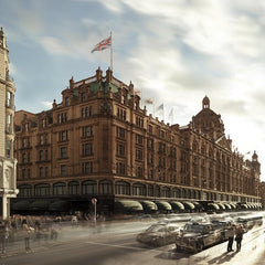 Hanssop Flatscreens at Harrods London!